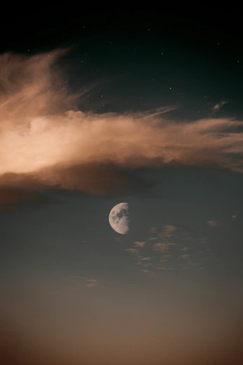 A cover of "Wellness" cluster. The owner is leazzo. The cluster consists of 11 elements.