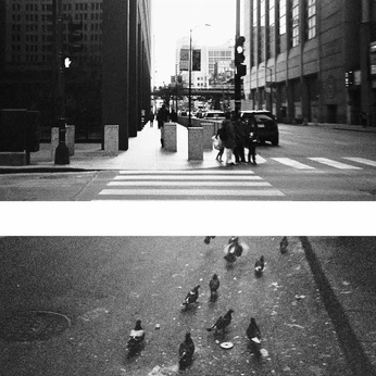 A cover of "my work" cluster. The owner is stlzzr. The cluster consists of 6 elements.