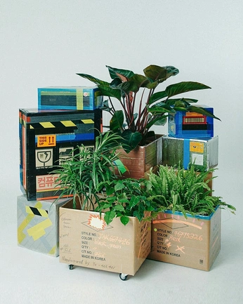 A cover of "Wholesale 9.2025" cluster. The owner is studioxxvi. The cluster consists of 16 elements.