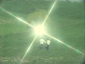 A cover of "Collection" cluster. The owner is nirbhay0008. The cluster consists of 2 elements.