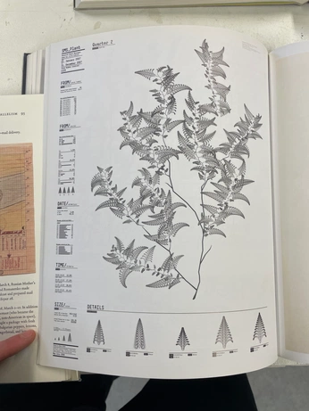 A cover of "specimen" cluster. The owner is altosoro. The cluster consists of 11 elements.