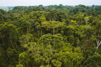 A cover of "Duolingo" cluster. The owner is danfen. The cluster consists of 20 elements.