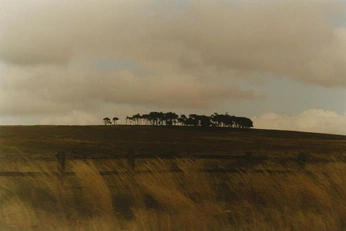 A cover of "still" cluster. The owner is sighten. The cluster consists of 4 elements.