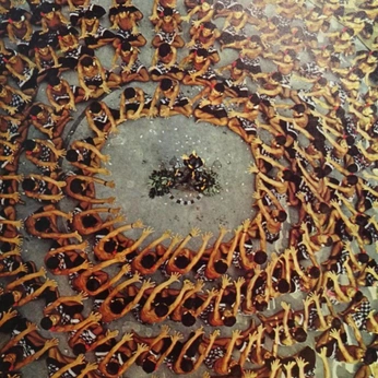 A cover of "solstice" cluster. The owner is mistandbone. The cluster consists of 14 elements.