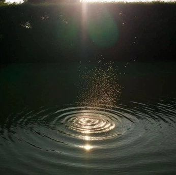 A cover of "Light" cluster. The owner is jubair. The cluster consists of 1 element.