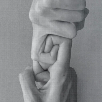 A cover of "vision in motion" cluster. The owner is yan. The cluster consists of 28 elements.