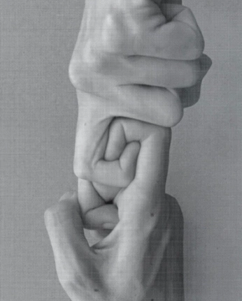 A cover of "Image" cluster. The owner is tonez. The cluster consists of 2 elements.