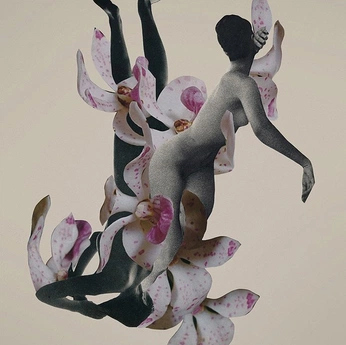 A cover of "Collage" cluster. The owner is momora. The cluster consists of 13 elements.