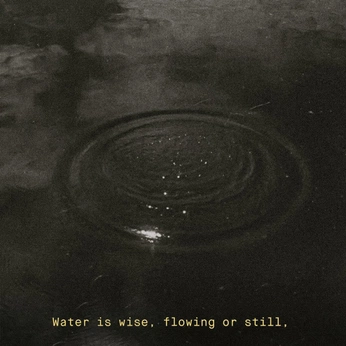 A cover of "For the 🫀" cluster. The owner is laurenmurphy16. The cluster consists of 37 elements.