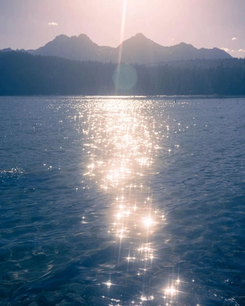 A cover of "nature" cluster. The owner is puppybear. The cluster consists of 16 elements.