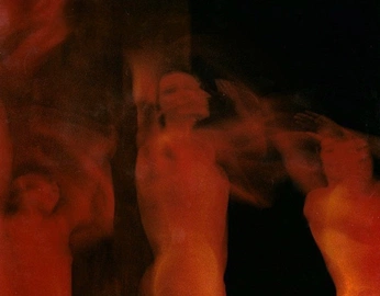 A cover of "Detroit Jazz Festival" cluster. The owner is fujiiibrian. The cluster consists of 24 elements.