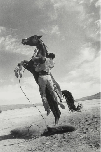 A cover of "things" cluster. The owner is richardross. The cluster consists of 24 elements.