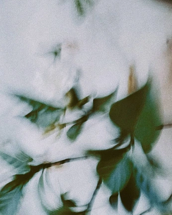 A cover of "DENSU" cluster. The owner is holtze. The cluster consists of 49 elements.