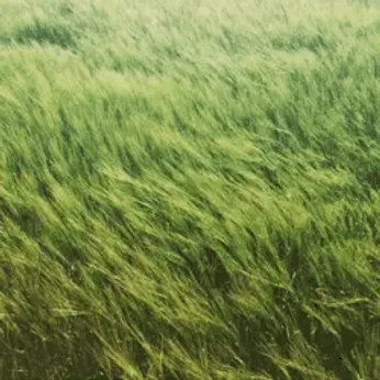 A cover of "Family owned,Heating air" cluster. The owner is khamanir. The cluster consists of 2 elements.