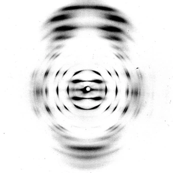 A cover of "Sink Logo" cluster. The owner is aidmaccc. The cluster consists of 36 elements.