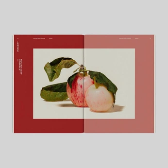 A cover of "Entradillas" cluster. The owner is yexalened. The cluster consists of 8 elements.