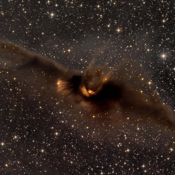 A cover of "Bat" cluster. The owner is pessy. The cluster consists of 1 element.