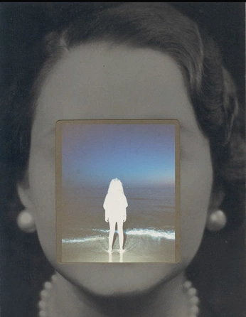 A cover of "COLLAGE" cluster. The owner is fernotes. The cluster consists of 4 elements.