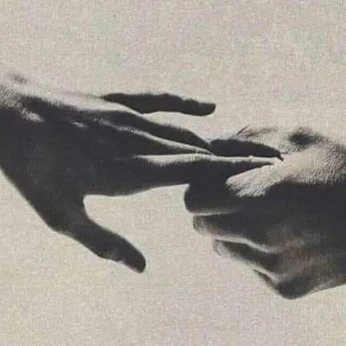 A cover of "Misc photos" cluster. The owner is erythroxylaceae. The cluster consists of 27 elements.