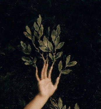 A cover of "Arboretto" cluster. The owner is kikedelgado. The cluster consists of 3 elements.