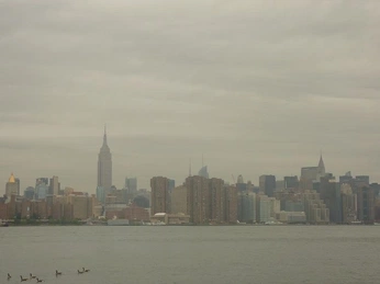 A cover of "new york" cluster. The owner is char.harwood. The cluster consists of 2 elements.