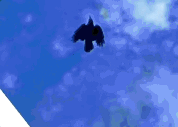Thumbnail of Found on Cosmos