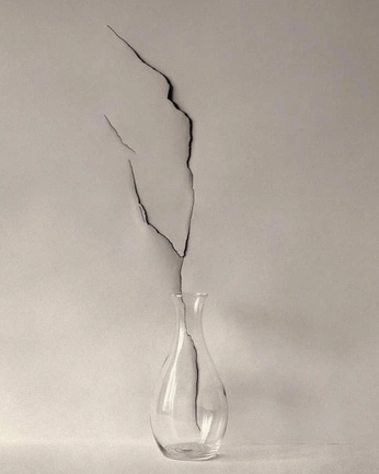 A cover of "SOFT FISSURE" cluster. The owner is es.ness. The cluster consists of 55 elements.