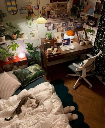 A cover of "chambre" cluster. The owner is clara.st. The cluster consists of 6 elements.