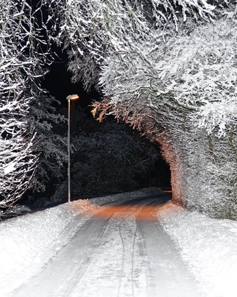 A cover of "Mysterious Snow" cluster. The owner is kevinluginbuehl. The cluster consists of 1 element.
