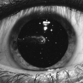 A cover of "Photography" cluster. The owner is ilonacoussens. The cluster consists of 40 elements.