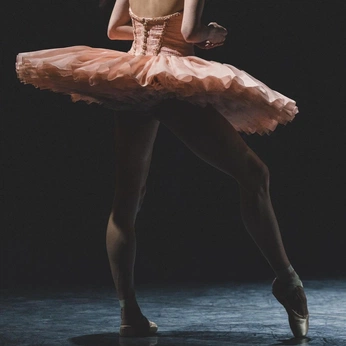 A cover of "Danse" cluster. The owner is lorettepicc. The cluster consists of 50 elements.