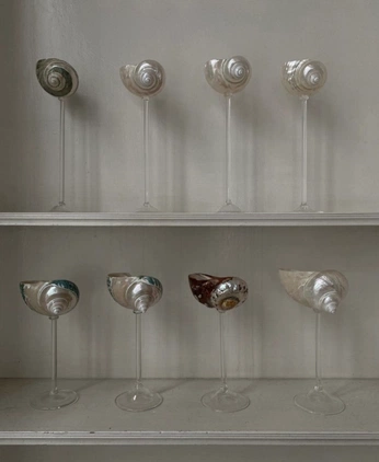 A cover of "shell" cluster. The owner is ishitaa. The cluster consists of 4 elements.