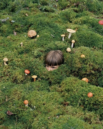 A cover of "Vibe" cluster. The owner is everlstng. The cluster consists of 1 element.