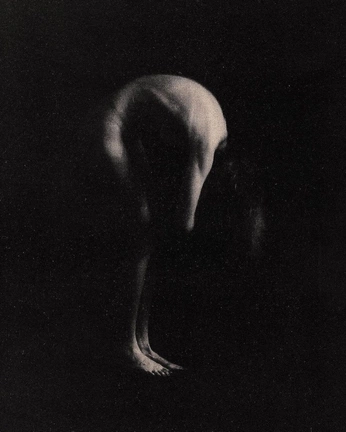 A cover of "phase1" cluster. The owner is leewoo. The cluster consists of 2 elements.