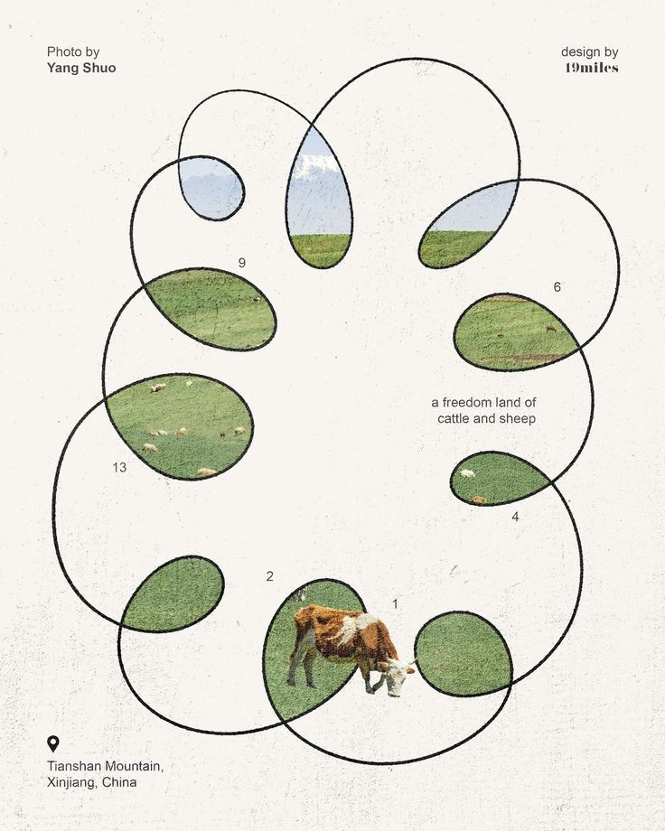 BRUX: Branding Visuals