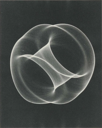 A cover of "Salato" cluster. The owner is luciagregori. The cluster consists of 79 elements.