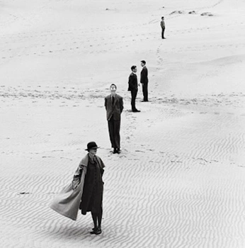 A cover of "reference" cluster. The owner is aritzia. The cluster consists of 493 elements.