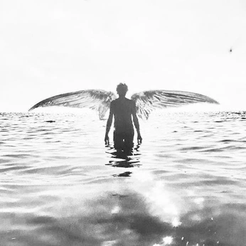 A cover of "Greek Mythology Album" cluster. The owner is grantknoche. The cluster consists of 1 element.