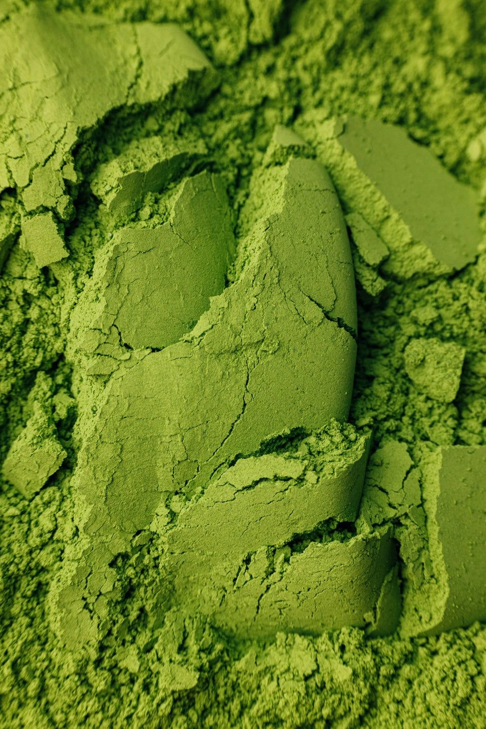 Moringa lifestyle
