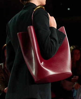 A cover of "ACCESSORIO" cluster. The owner is cos.ma. The cluster consists of 1 element.