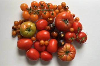 A cover of "food 🍝" cluster. The owner is jkwlms. The cluster consists of 8 elements.