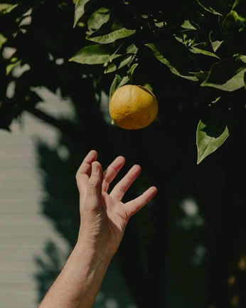 A cover of "inspo" cluster. The owner is ralucaelena. The cluster consists of 8 elements.