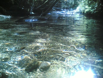 A cover of "CHIRK" cluster. The owner is joyoduor. The cluster consists of 37 elements.