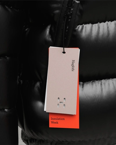 An image added by linusrogge on May 29, 2025. May present: gadget, stockholm design lab ab.