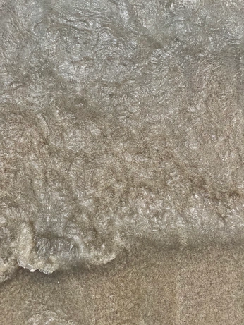 A cover of "Nature" cluster. The owner is a28luck. The cluster consists of 2 elements.