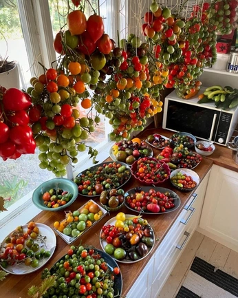 A cover of "Spring" cluster. The owner is jeremyk. The cluster consists of 8 elements.