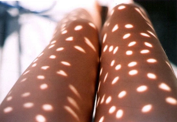 A cover of "fawn" cluster. The owner is vkeiverse. The cluster consists of 31 elements.