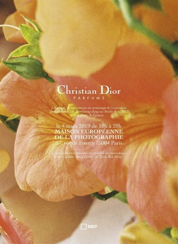 A cover of "fff" cluster. The owner is lunarsnowdrop. The cluster consists of 33 elements.