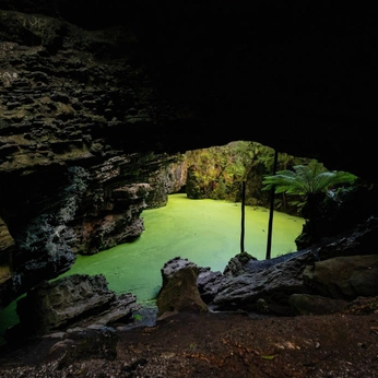 A cover of "Roam" cluster. The owner is javelina. The cluster consists of 2 elements.