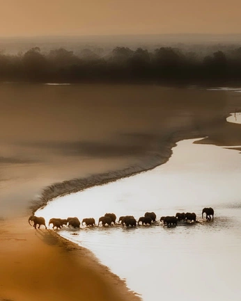 A cover of "ananda" cluster. The owner is soymajorie. The cluster consists of 101 elements.
